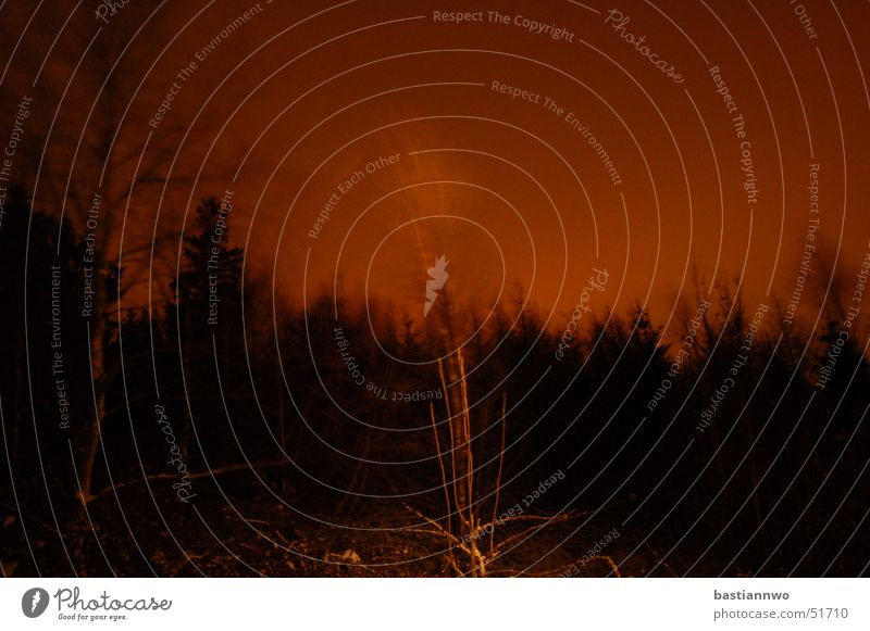 Geister im Wind Baum Nacht Geister u. Gespenster glühen gruselig Leidenschaft dunkel