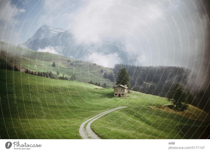 Hochgebirgslandschaft im Aostatal Gebirge Landschaft Hochgebirge Alpen Berge u. Gebirge alpin Gipfel Schneebedeckte Gipfel Schönes Wetter Natur Außenaufnahme