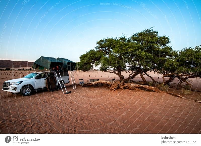 baumgeschichten Himmel Baum traumhaft besonders Ferien & Urlaub & Reisen Abenteuer Einsamkeit Natur Landschaft Afrika Namibia Ferne reisen Fernweh jeep Zelt