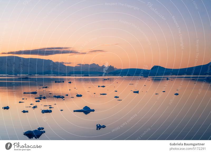 Eislagune im Sonnenuntergang, Errera Kanal, Antarktis Eisberg Natur Gletscher Küste Wasser Umwelt Landschaft Außenaufnahme Klima Ferien & Urlaub & Reisen Meer