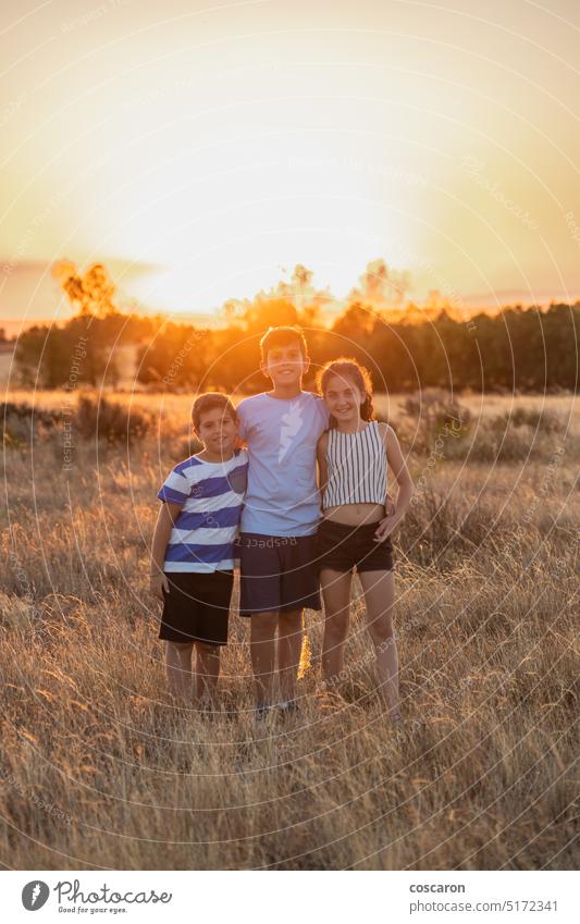 Drei kleine Freunde auf einem Feld in den Sommerferien bei Sonnenuntergang Abenteuer schön Junge sorgenfrei Kind Kindheit Kinder Land Landstraße Landschaft