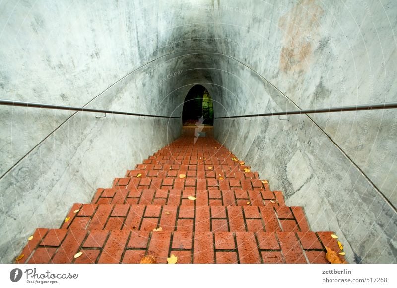 Irgendwas in Dresden wandern Häusliches Leben Herbst Bauwerk Architektur Treppe Abenteuer Ziel wallroth Abstieg Treppengeländer Backstein Höhle Tunnel