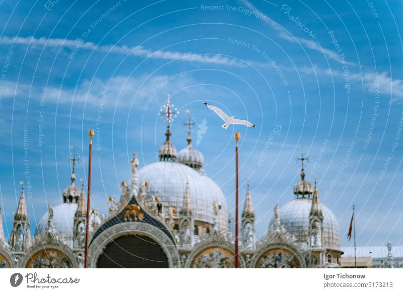 Piazza San Marco Markusplatz mit Basilica di San Marco. Dach Architektur Details mit fliegenden Möwe Vogel aginst blauen Himmel in Venedig, Italien. Touristenattraktion, Sommer Städtereise