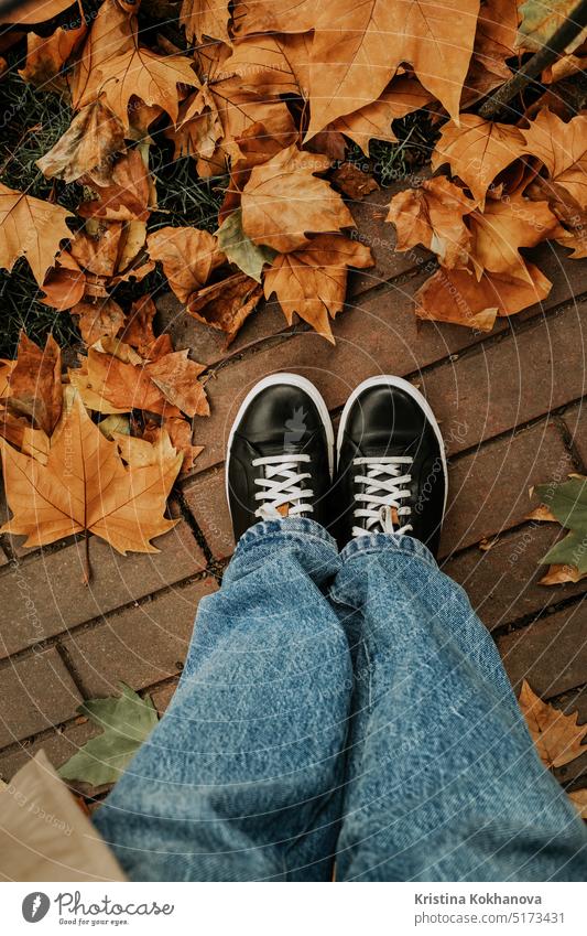 Weibliche Füße in Turnschuhen mit orangefarbenen gefallenen Ahornblättern. Herbst Gold Hintergrund. abstrakt schön hell braun Farbe trocknen Flora Laubwerk Wald