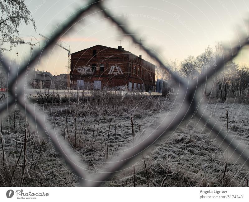 Ein Blick durch den frostigen Zaun Frost gefroren Eis kalt kalte jahreszeit kalte Temperatur kalte Witterung Farbfoto draußensein Haus Ruine dahinter