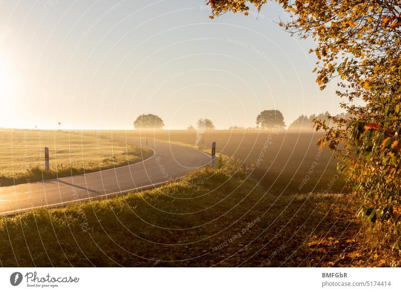 Straßenkurve durch die Natur in orangefarbenen Tönen eines nebelverhangenen Sonnenaufgangs. Kurve Verkehr Sicherheit Nebel Morgen Dunst Flair Gebüsch warm