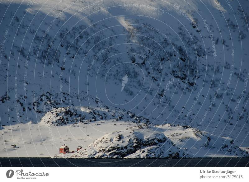 einsames rotes Holzhaus am winterlichen Fjord mit schneebedeckter Bergwand im Hintergrund einsames Haus Haus in der Sonne Haus im Schnee Winter Winter am Meer