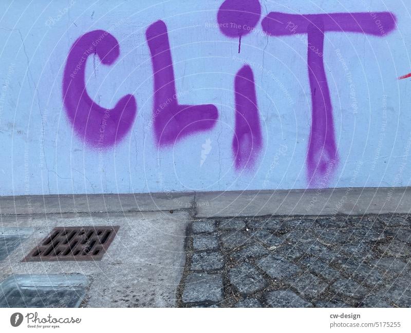 CLIT an eine Hauswand gesprüht artist_clit Schmierereien Textfreiraum unten Politik politisch politischer ausdruck Nahaufnahme weiß Politik & Staat