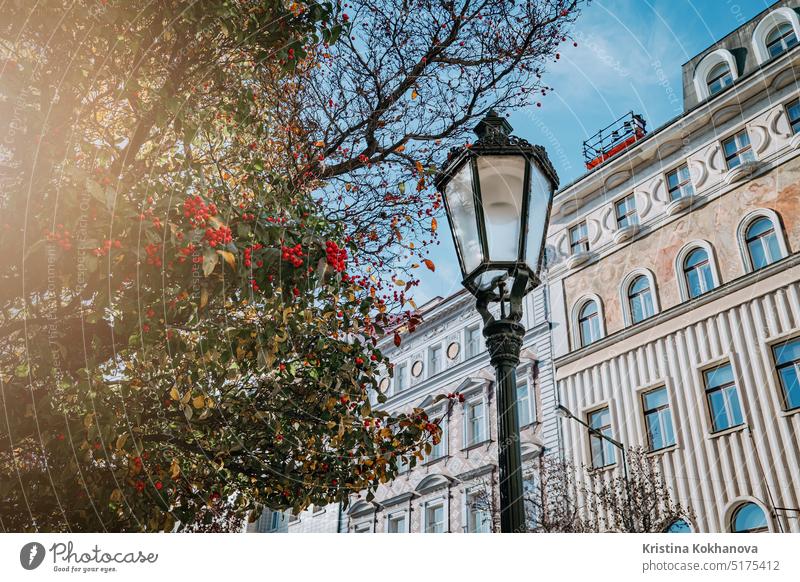 Schöne alte europäische Stadtlaterne mit Eberesche. Stadtbild. Großstadt Europa Laterne Licht Straße reisen Architektur blau Lampe urban Kultur historisch