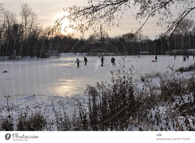 Abends am zugefrorenen Weiher im Park bei Sonnenuntergang. | Winterstimmung zugefrorener Weiher Natur See Wasser Teich Menschenleer Landschaft Ruhe Tag Idylle