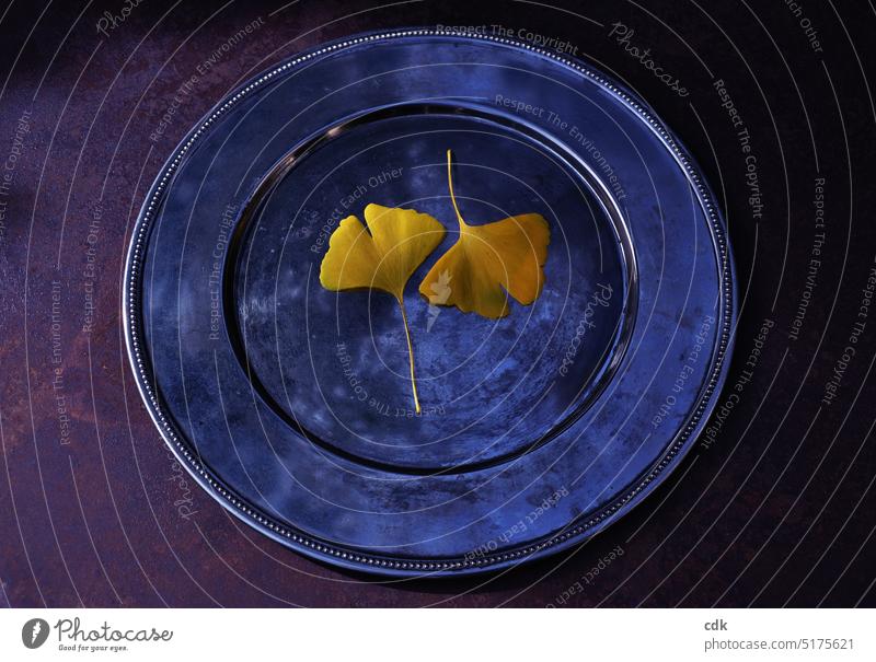 Silberteller mit zwei goldgelben Ginkgo-Blättern zur blauen Stunde der Dämmerung. Ginkgo biloba Blatt Ginkgoblatt Ginkgo-Blatt Pflanze Baum Herbst Menschenleer