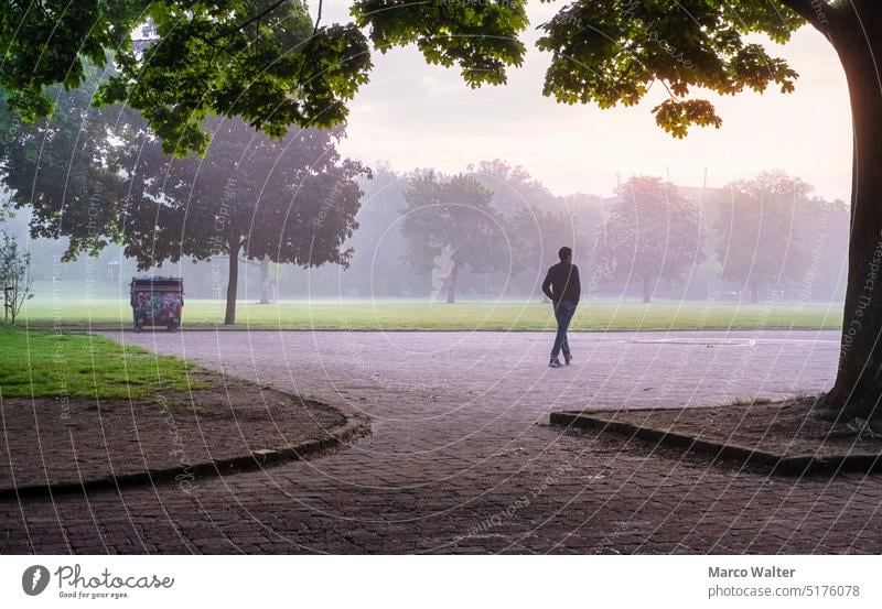 Spaziergang am Morgen im Park Spazierweg Mann Mensch Baum Wege & Pfade Natur Außenaufnahme Farbfoto Einsamkeit Erholung Licht Morgendämmerung Bäume ruhig