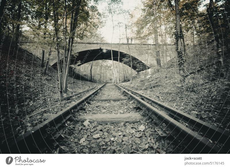 auf alten verrosteten und stillgelegten Gleisen durch den Herbst Brücke Schienen Natur lost places Verfall Vergänglichkeit Wandel & Veränderung Renaturierung