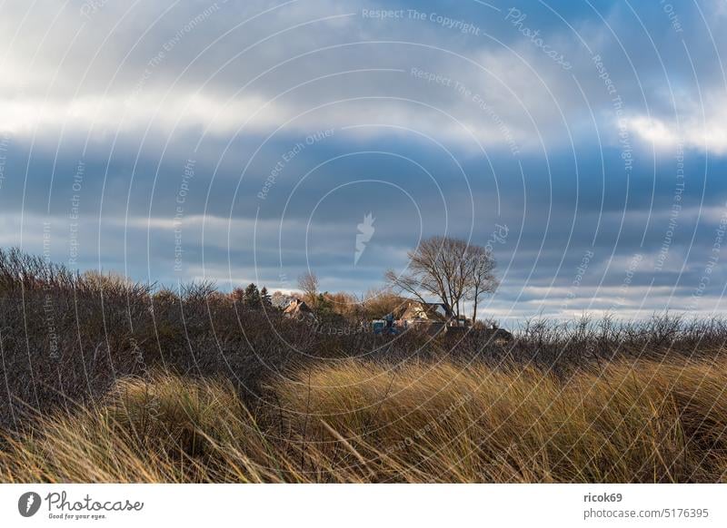 Düne und Haus an der Küste der Ostsee in Ahrenshoop auf dem Fischland-Darß Ostseeküste Gebäude Architektur Baum Dünengras Landschaft Natur Himmel Wolken blau