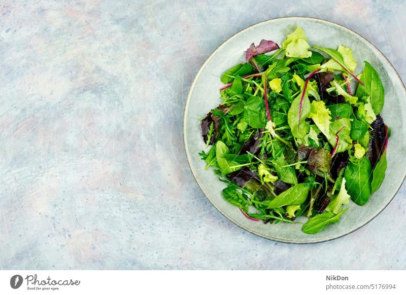 Frischer Salat mit gemischten Blättern, Platz für Text Salatbeilage frisch belaubt Kräuterbuch grün natürlich Mangold roh Gemüse Blatt Lebensmittel mesclun