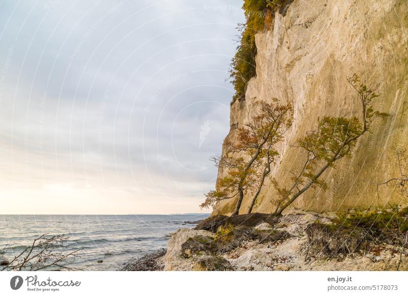 Kreidefelsen Absturz auf Rügen Abbruchkante Steilküste Sassnitz Nationalpark Jasmund Naturgewalt Erosion Küste Mecklenburg-Vorpommern ufer ostseeküste Ostsee