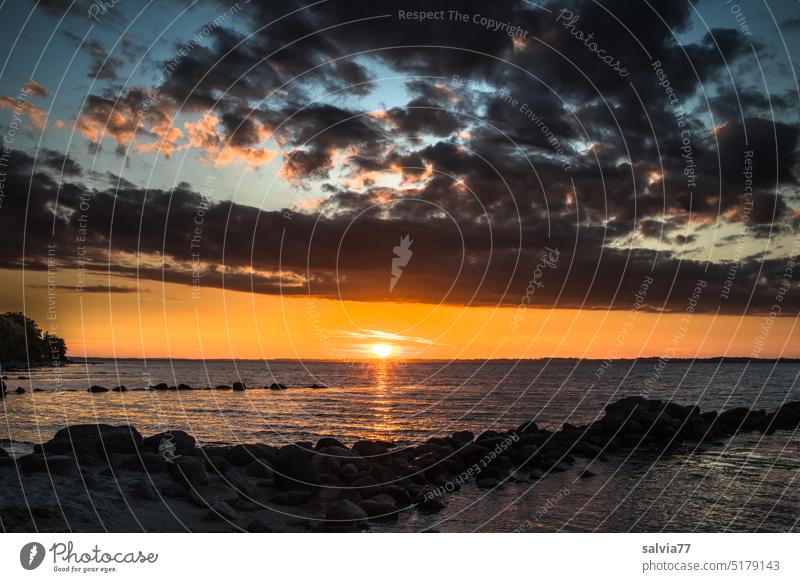 Sonnenuntergang am Meer, Steinmole im Vordergrund, dunkle Wolken am Himmel meer Abendstimmung Mole Küste Landschaft Wasser Horizont Ferien & Urlaub & Reisen