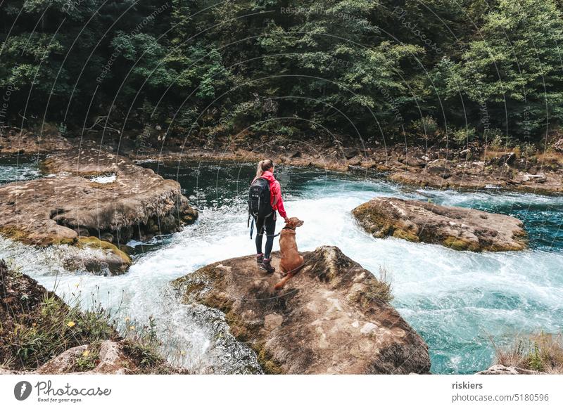 Reisegefährten reisen wandern Natur Fluss Wasserfall Nationalpark wildness Freunde Hund zusammen Abenteuer Lanschaft