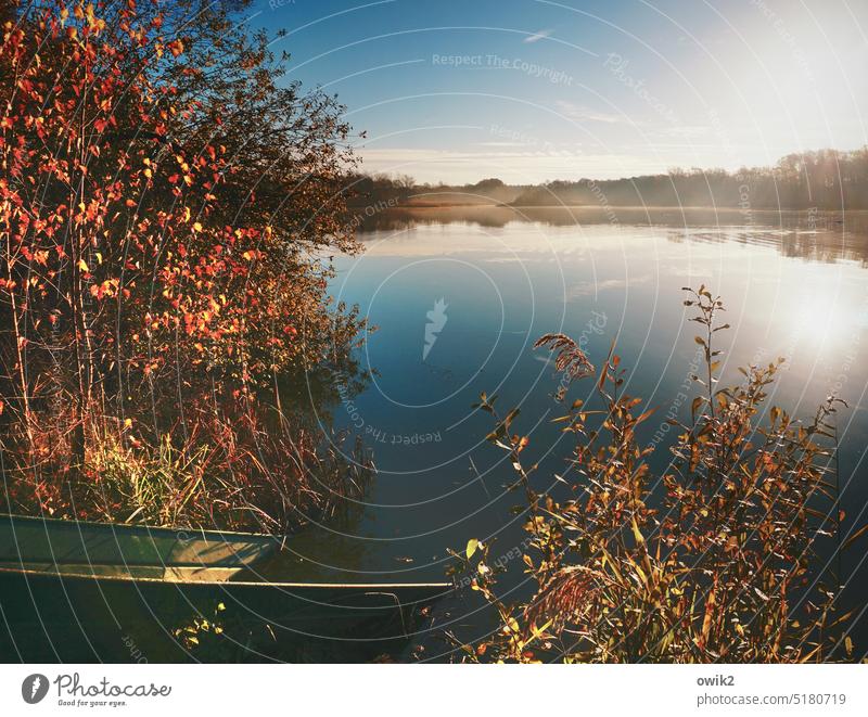 Keine Bewegung Teich See Seeufer Sträucher Horizont Himmel Wolken Wasser Urelemente Landschaft Natur Pflanze Umwelt ruhig Idylle Freiheit Wasseroberfläche