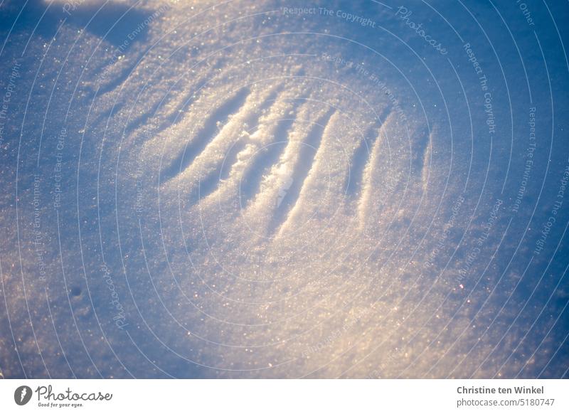 Die Morgensonne beleuchtet den glitzernden Schnee, auf dem der Flügel eines Vogels Abdrücke hinterlassen hat Abdruck im Schnee Winter kalt Spuren im Schnee