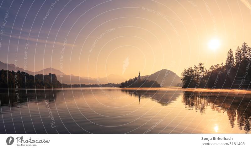 Lake Bled am frühen Morgen in mystischer Stimmung Bleder See Slowenien Slovenia Wasser lake bled Berge u. Gebirge Insel Kirche Landschaft Natur Tourismus