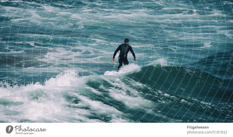 Surfing Surfen Surfer Surfbrett Surfschule surface Surfers Paradise Surf-Wellen Surfer, die ins Meer gehen Surfboarderin Surfen im Netz Amerika USA Los Angeles