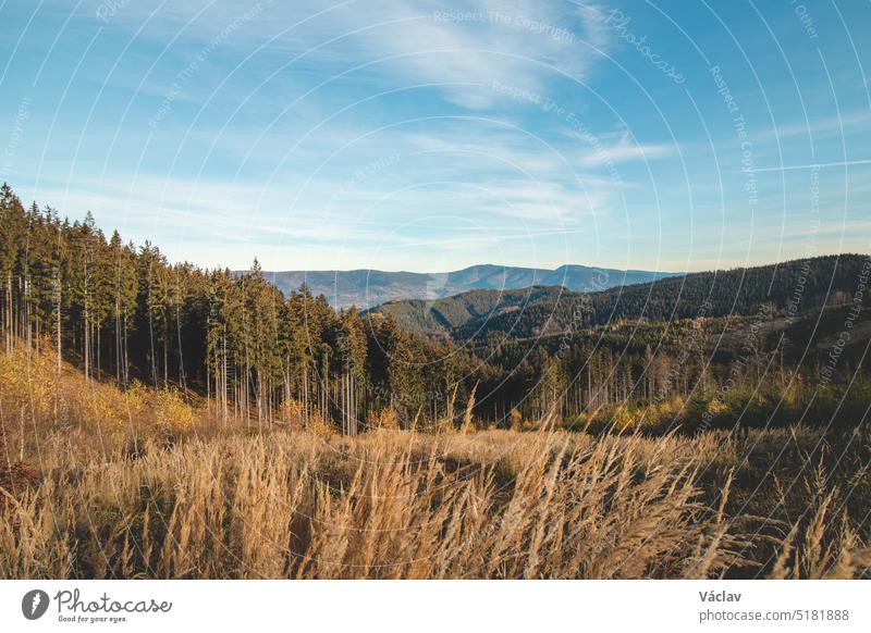 Die Morgensonne beleuchtet das hohe Gras und die schöne Landschaft Ostböhmens in der mährisch-schlesischen Region der Beskiden. Ein schönes Erwachen für den nächsten Tag