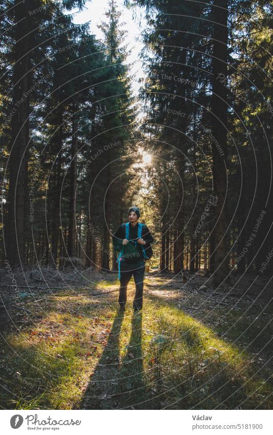 Spaziergang durch einen duftenden Kiefernwald bei Sonnenuntergang in den abgelegenen Ecken der Beskiden, Tschechische Republik. Mann mit einem Rucksack auf dem Rücken bei herbstlichen Temperaturen