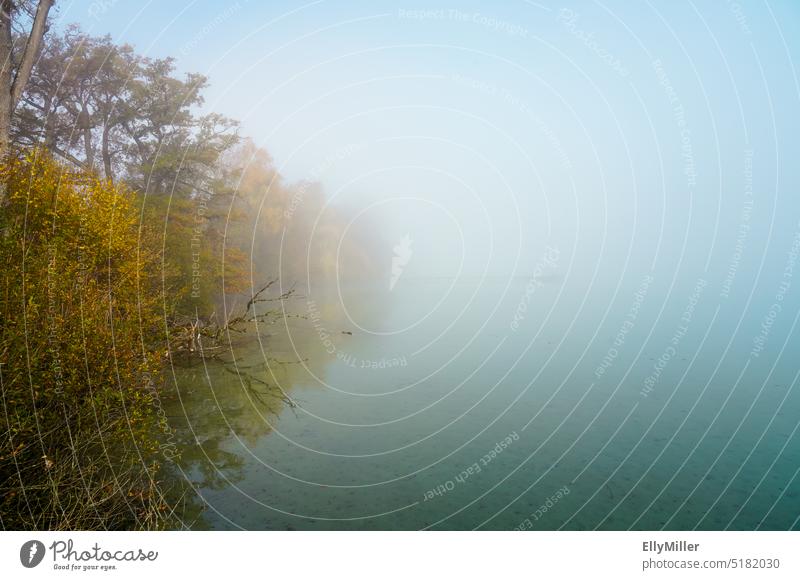 Nebel am Morgen. Herbstliche Landschaft am See. Morgendämmerung Morgennebel morgens ruhig Nebelschleier Nebelstimmung Morgenstimmung Stimmung Menschenleer