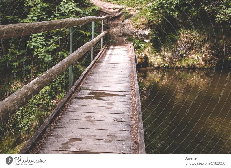 rechts kann man reinfallen Brücke Balken Holzbrett Holzbrücke Steg Brückengeländer roh Holzgestell einfach Wege & Pfade offen Holzgerüst Fußgängerbrücke