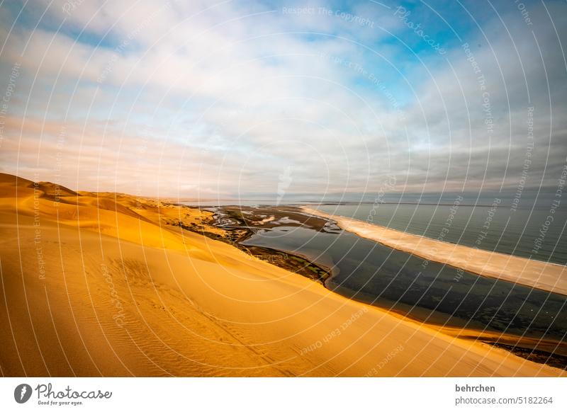 das meer und die wüste weite Menschenleer Außenaufnahme Dünen fantastisch besonders sandwich harbour Wüste träumen Afrika Namibia Sand Meer breit Ferne Fernweh