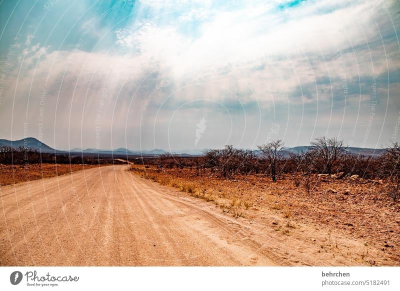 flirrende hitze Hitze staubig Sand Wärme Himmel besonders Abenteuer Ferien & Urlaub & Reisen Landschaft Natur Fernweh Namibia Farbfoto Afrika Ferne Baum trocken