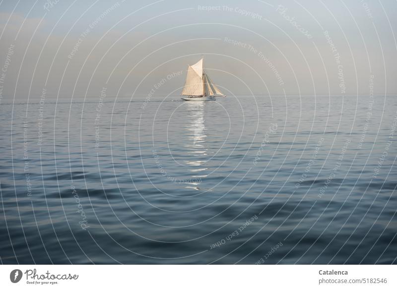 Ein Segelboot auf stiller See IJsselmeer Segelyacht Natur frei Schönes Wetter Himmel Tag Klima Tageslicht Umwelt maritim Schifffahrt Boot Meer Wasser Abenteuer