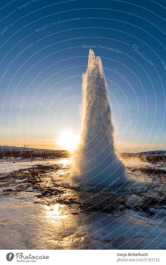 Winter am Strokkur Geysir Island Natur Ferien & Urlaub & Reisen Wasser Tourismus Reisefotografie Himmel Fontäne Erruption kalt Eis Glätte glatt Sonnenaufgang