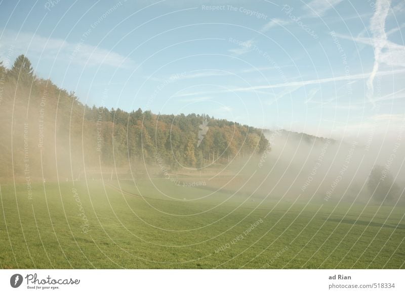 Zeitumstellung | Mein dein Tag Umwelt Natur Landschaft Tier Himmel Wolkenloser Himmel Sonne Herbst Klima Schönes Wetter Nebel Baum Gras Sträucher Wiese Feld