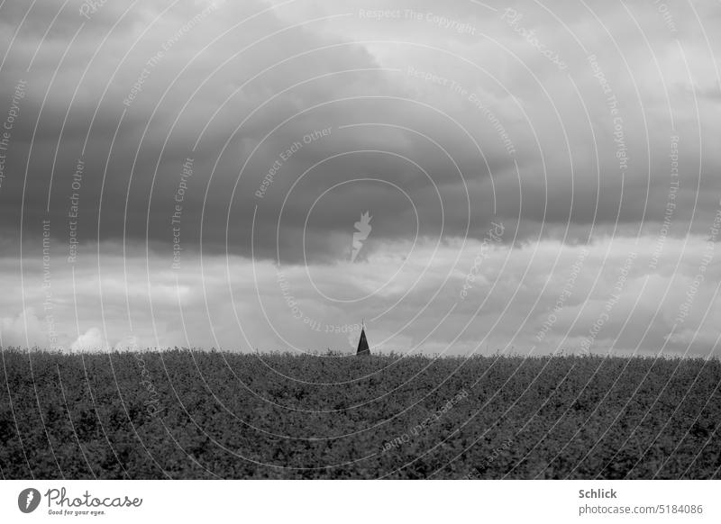 Gut versteckt, Kirchturmspitze ragt über Acker vor bewölktem Himmel Wolken Schwarzweißfoto herausschauen Feld Landwirtschaft Kirche Versteck Pflanzen Ackerbau