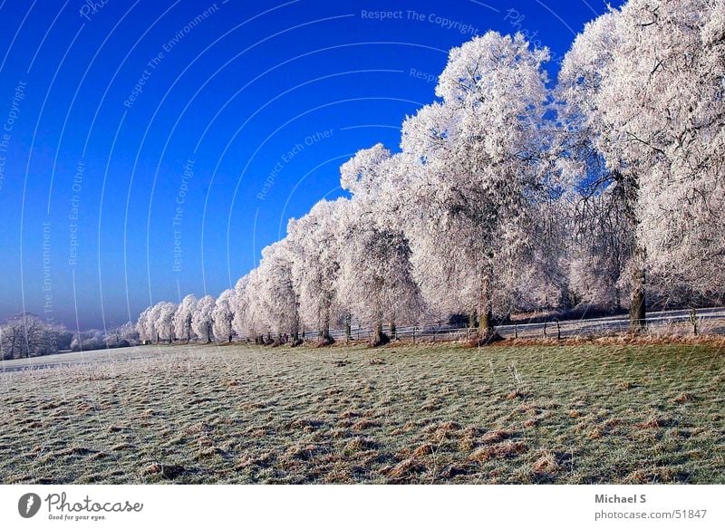 Frost Winter bizarr kalt Eis Landschaft