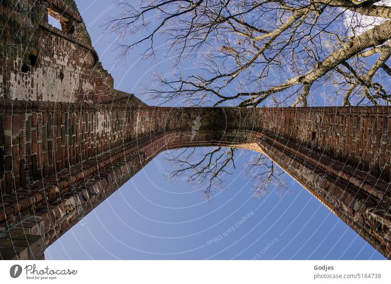 Blick nach oben in den Backsteinbogen des ehemaligen Klosters Eldena, Greifswald Bogen Mauer Architektur Haus Fassade Gebäude alt Stein Bauwerk Außenaufnahme