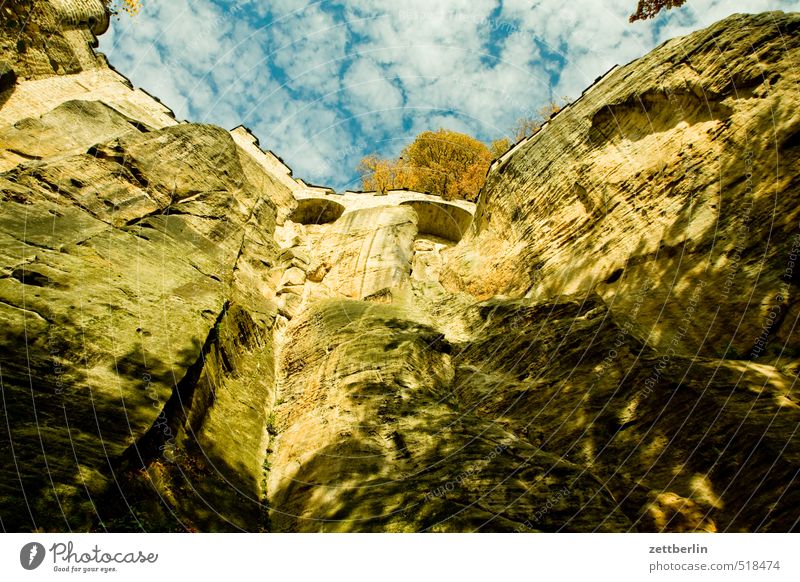 Festung Königstein Freizeit & Hobby Ferien & Urlaub & Reisen Tourismus Ausflug Abenteuer wandern Umwelt Natur Landschaft Herbst Klimawandel Schönes Wetter Park