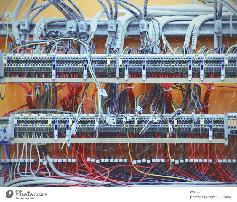 Eingeweide für Eingeweihte Schaltkasten Schaltung Kabel Metall Kunststoff Innenaufnahme Totale Sicherung Elektrotechnik u. Elektronik Elektrizität Leitung