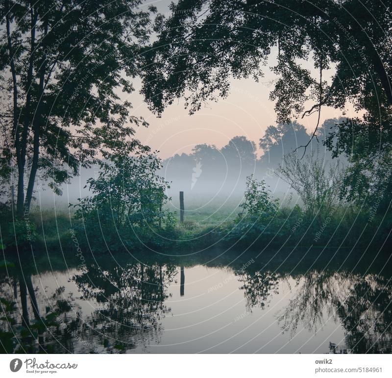 Ebenmaß Morgen Morgennebel mystisch Unendlichkeit Windstille ruhig glänzend Flussufer Mysterium Seeufer beruhigend Trost Stille draußen Silhouette Kontrast