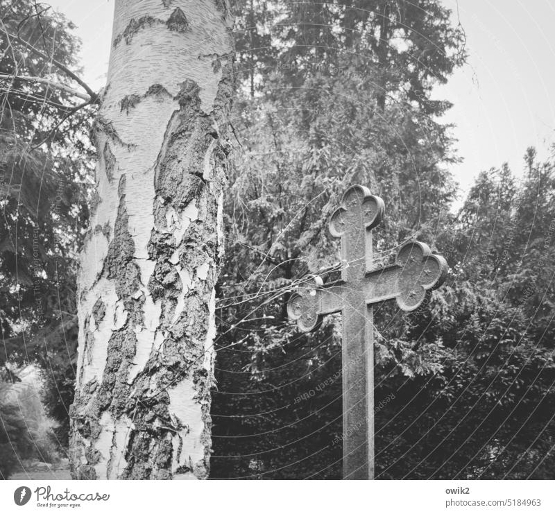 Ruhepunkt Kreuz Grab Christliches Kreuz Friedhof Tod Trauer Außenaufnahme Schwarzweißfoto Abschied Vergangenheit Schmerz Ende Grabmal Stimmung Glaube verwittert