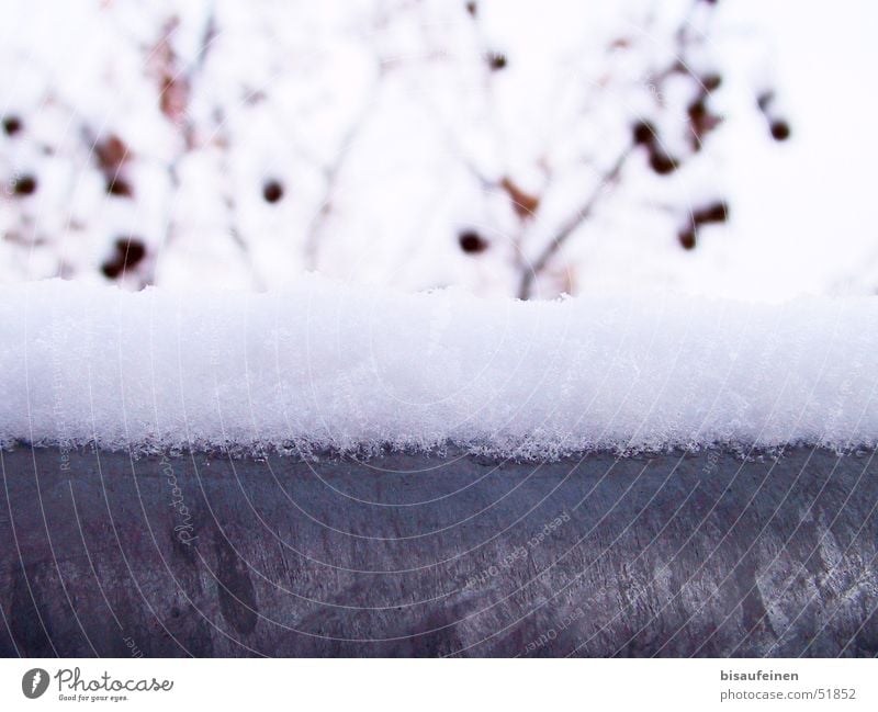 Winterstahl Geländer Schneehaube Stahl kalt Metall Ast