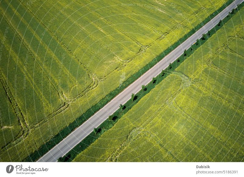 Landstraße inmitten landwirtschaftlicher Felder, Luftaufnahme Landschaft Straße ländlich Natur Szene Ackerland reisen Antenne grün Hintergrund im Freien PKW