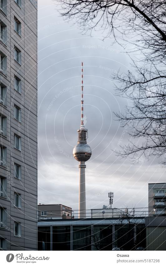 Alex Berlin Fernsehturm Berliner Fernsehturm Alexanderplatz Wahrzeichen Hauptstadt Turm Himmel Sehenswürdigkeit Berlin-Mitte Stadtzentrum Architektur Tourismus