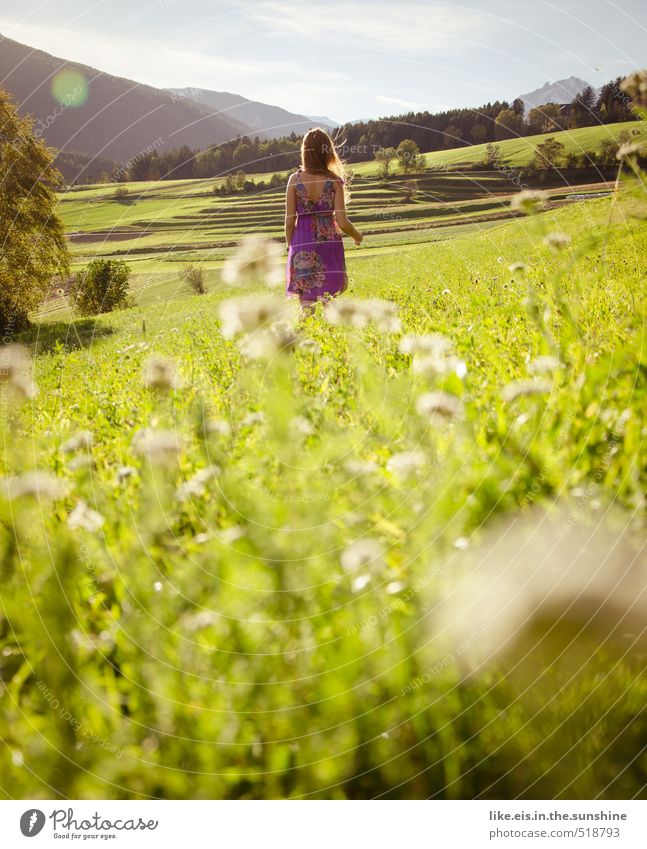 warten auf...den prinz =) Leben Zufriedenheit Sinnesorgane Erholung Sommer Sommerurlaub Sonne feminin Junge Frau Jugendliche Erwachsene Umwelt Natur Landschaft