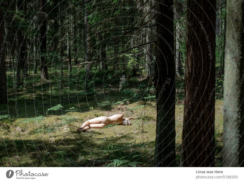 Wilde und nackte Wälder, in denen ein wunderschönes blondes Mädchen auf dem Boden liegt. Sie fühlt sich frei und unbekleidet. Eine nackte Frau ist von grüner Natur umgeben. Einige Kiefern. Farne. Und die Sonne scheint hell auf ihre sexy Kurven.