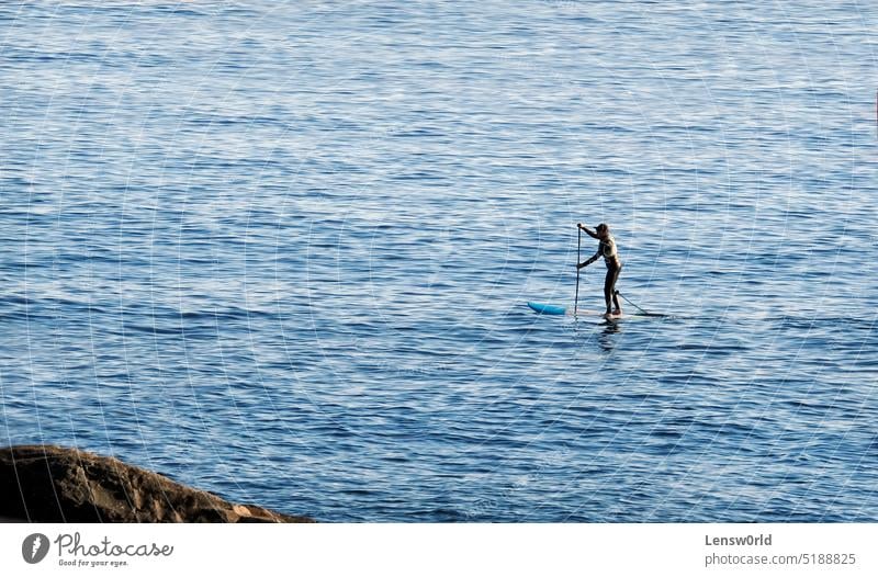 Standup-Paddeln an der Küste von Enoshima, Japan Hintergrund Strand blau Holzplatte Küstenstreifen enoshima Insel Natur Meer Meereswellen Erholung MEER