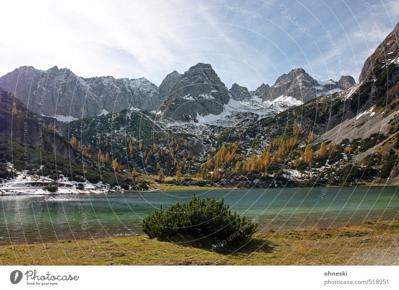 Bergidylle Natur Landschaft Felsen Alpen Berge u. Gebirge Gipfel Seeufer Seebensee wandern natürlich Reinheit Idylle Ferne Farbfoto mehrfarbig Außenaufnahme