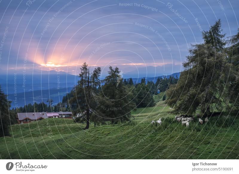 Sonnenuntergang auf der Seiseralm oder Seiser Alm. Dolomiten Alpen, Trentino Südtirol Südtirol, Italien, Europa Berge u. Gebirge seiser Sonnenaufgang Schlern di